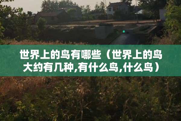 世界上的鸟有哪些（世界上的鸟大约有几种,有什么鸟,什么鸟）