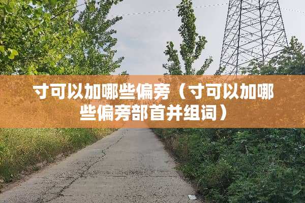 寸可以加哪些偏旁（寸可以加哪些偏旁部首并组词）