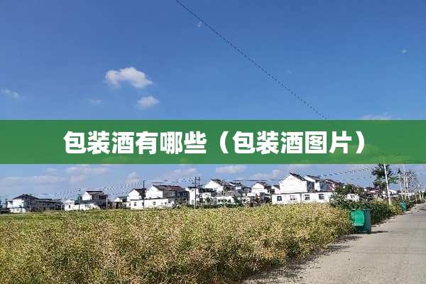 包装酒有哪些（包装酒图片）