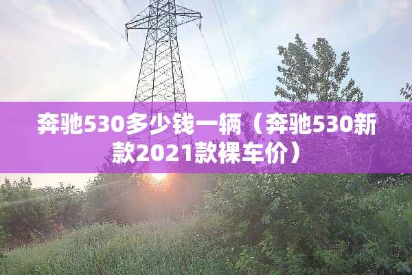 奔驰530多少钱一辆（奔驰530新款2021款*车价）