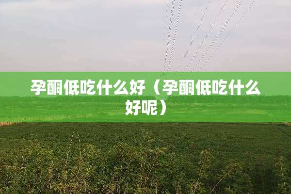 孕酮低吃什么好（孕酮低吃什么好呢）