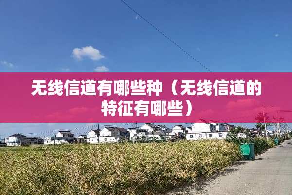 无线信道有哪些种（无线信道的特征有哪些）
