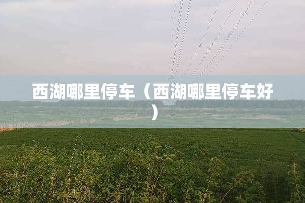 西湖哪里停车（西湖哪里停车好）