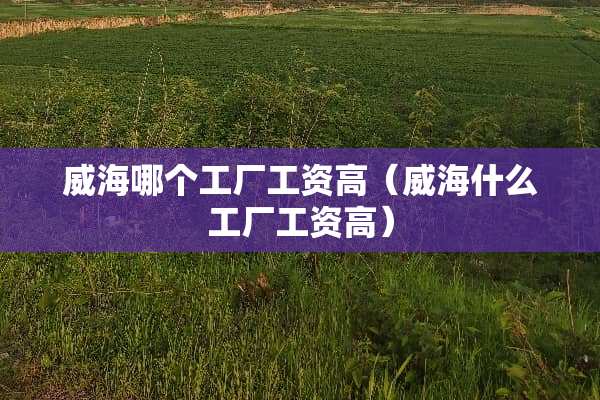 威海哪个工厂工资高（威海什么工厂工资高）