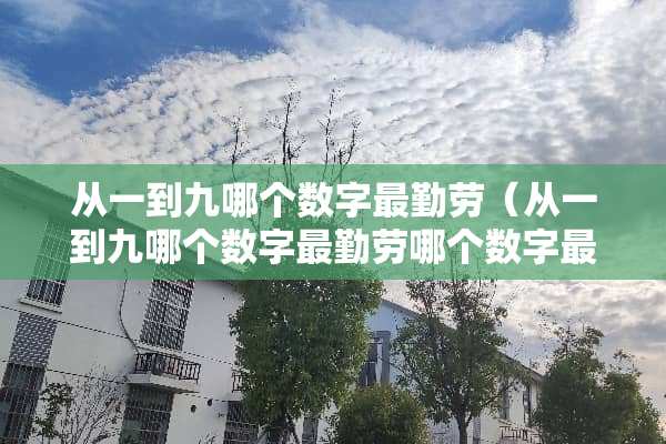 从一到九哪个数字最勤劳（从一到九哪个数字最勤劳哪个数字最难做）