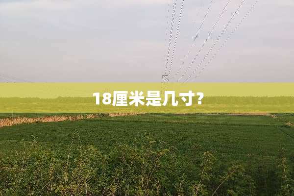 18厘米是几寸？