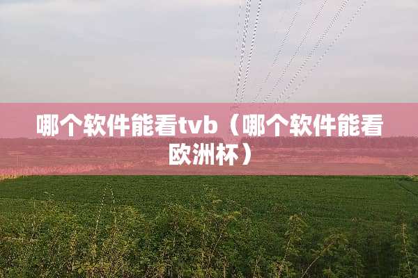哪个软件能看tvb（哪个软件能看欧洲杯）