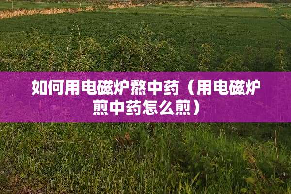 如何用电磁炉熬中药（用电磁炉煎中药怎么煎）