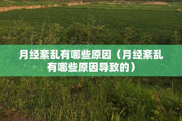 月经紊乱有哪些原因（月经紊乱有哪些原因导致的）