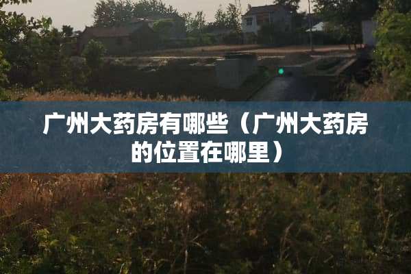广州大药房有哪些（广州大药房的位置在哪里）
