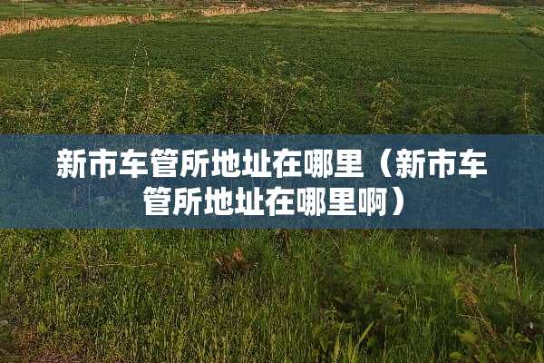 新市车管所地址在哪里（新市车管所地址在哪里啊）
