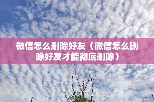 微信怎么删除好友（微信怎么删除好友才能彻底删除）