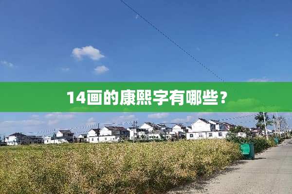 14画的康熙字有哪些？