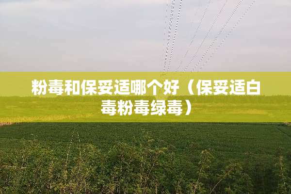 粉毒和保妥适哪个好（保妥适白毒粉毒绿毒）