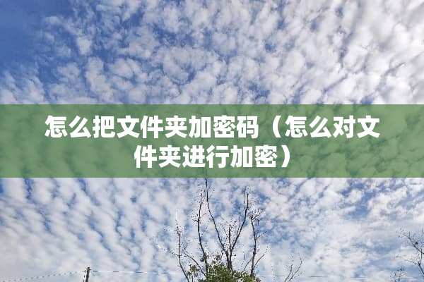 怎么把文件夹加密码（怎么对文件夹进行加密）