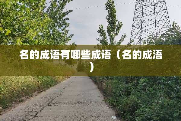 名的成语有哪些成语（名的成浯）
