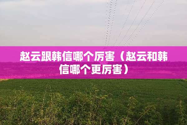 赵云跟韩信哪个厉害（赵云和韩信哪个更厉害）