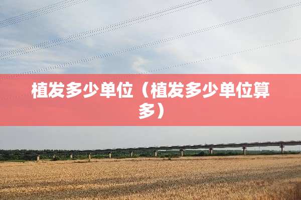植发多少单位（植发多少单位算多）