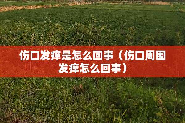 伤口发痒是怎么回事（伤口周围发痒怎么回事）