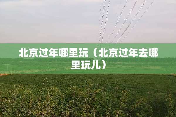 北京过年哪里玩（北京过年去哪里玩儿）