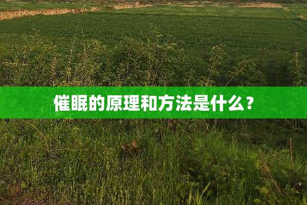 **的原理和方法是什么？