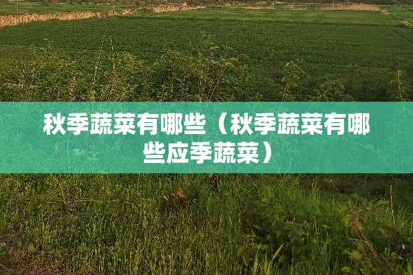 秋季蔬菜有哪些（秋季蔬菜有哪些应季蔬菜）
