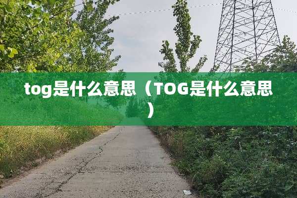 tog是什么意思（TOG是什么意思）