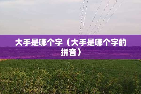 大手是哪个字（大手是哪个字的拼音）