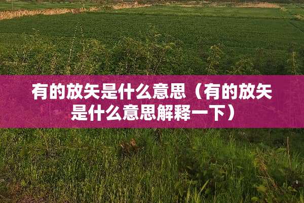 有的放矢是什么意思（有的放矢是什么意思解释一下）