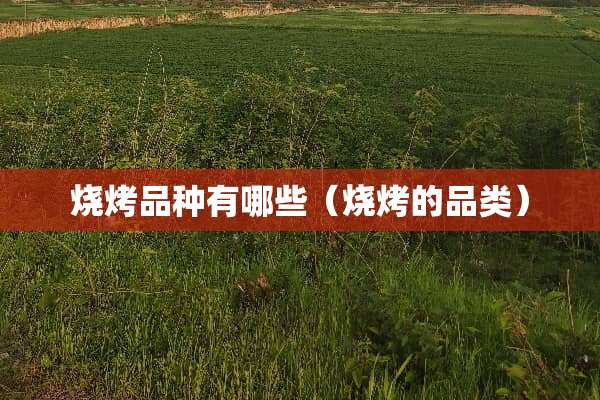 烧烤品种有哪些（烧烤的品类）