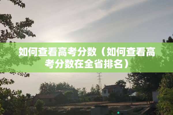 如何查看高考分数（如何查看高考分数在全省排名）
