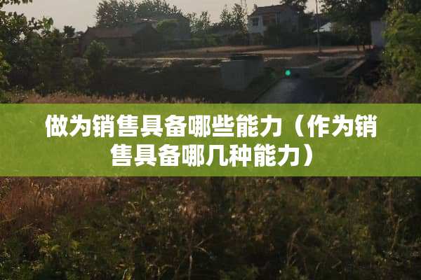 做为销售具备哪些能力（作为销售具备哪几种能力）