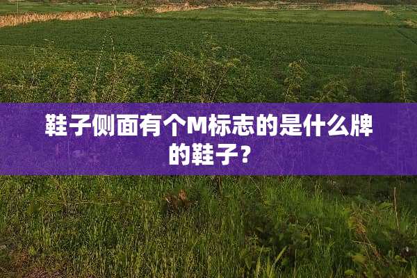 鞋子侧面有个M标志的是什么牌的鞋子？
