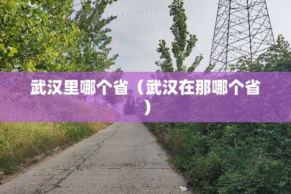 武汉里哪个省（武汉在那哪个省）