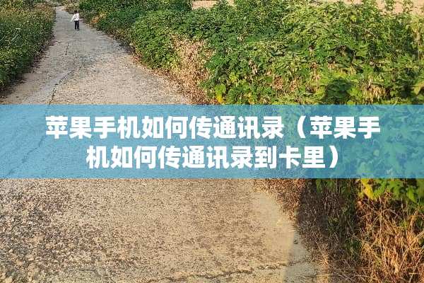 苹果手机如何传通讯录（苹果手机如何传通讯录到卡里）