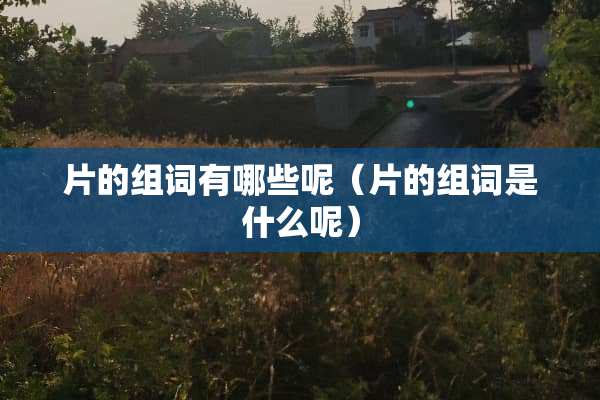 片的组词有哪些呢（片的组词是什么呢）