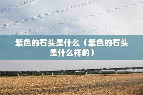 紫色的石头是什么（紫色的石头是什么样的）