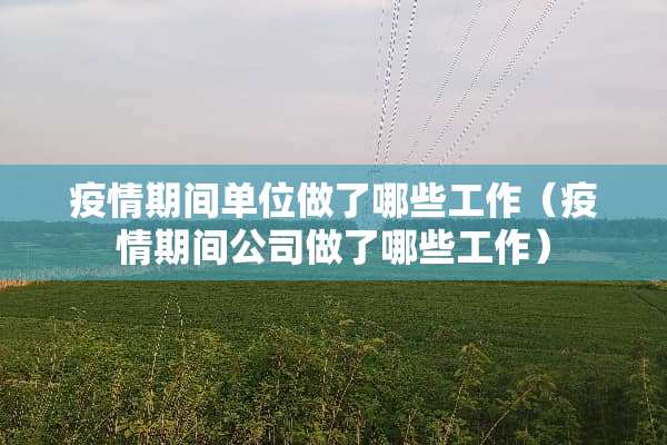 疫情期间单位做了哪些工作（疫情期间公司做了哪些工作）