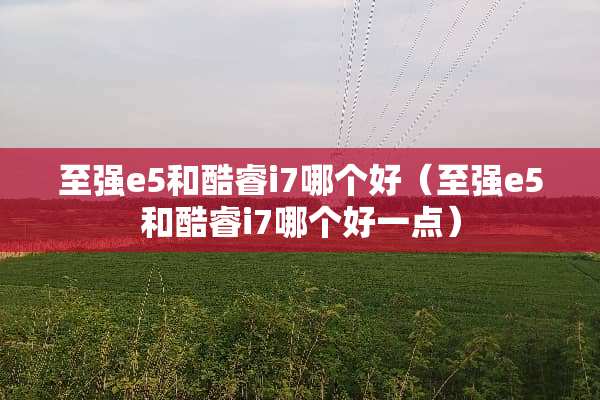 至强e5和酷睿i7哪个好（至强e5和酷睿i7哪个好一点）