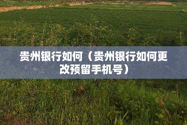 贵州银行如何（贵州银行如何更改预留手机号）