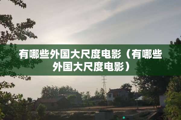 有哪些外国大尺度电影（有哪些外国大尺度电影）