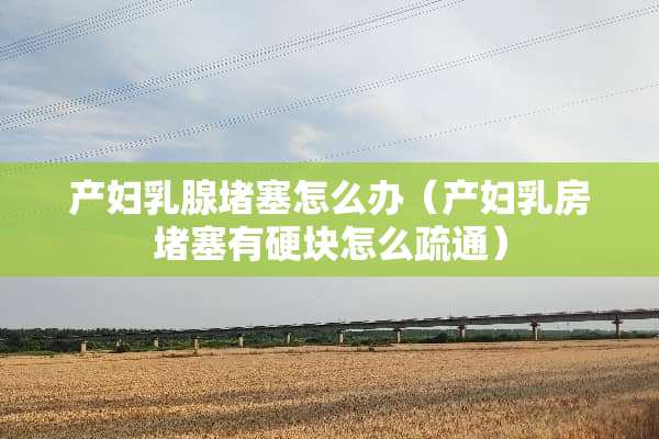 产妇*腺堵塞怎么办（产妇*房堵塞有硬块怎么疏通）