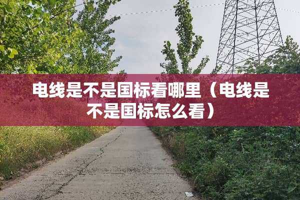 电线是不是国标看哪里（电线是不是国标怎么看）
