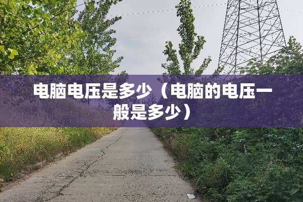 电脑电压是多少（电脑的电压一般是多少）