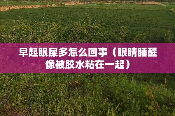 早起眼屎多怎么回事（眼睛睡醒像被胶水粘在一起）