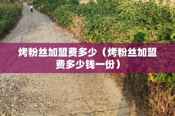 烤粉丝加盟费多少（烤粉丝加盟费多少钱一份）