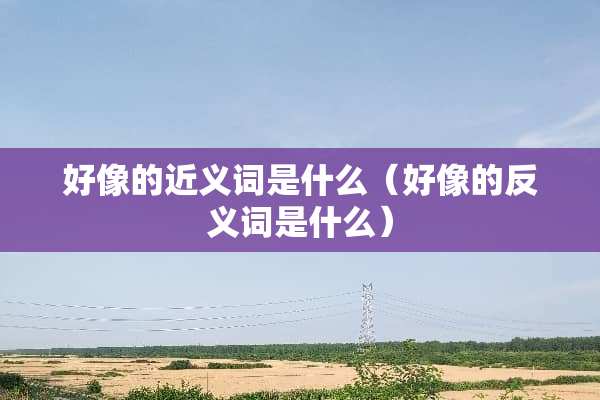 好像的近义词是什么（好像的反义词是什么）