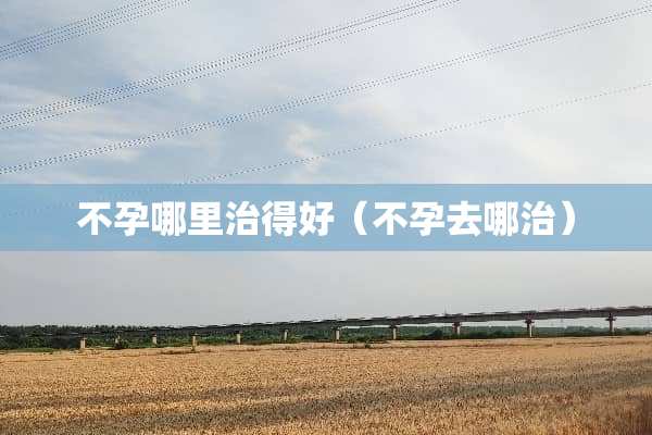 不孕哪里治得好（不孕去哪治）