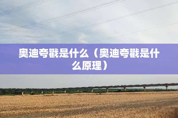 奥迪夸戳是什么（奥迪夸戳是什么原理）