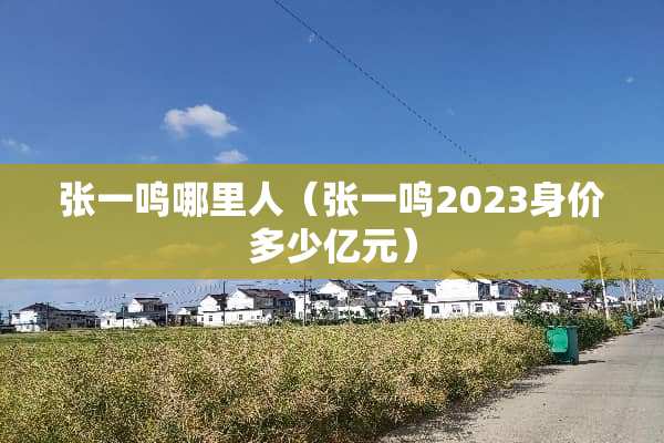 张一鸣哪里人（张一鸣2023身价多少亿元）